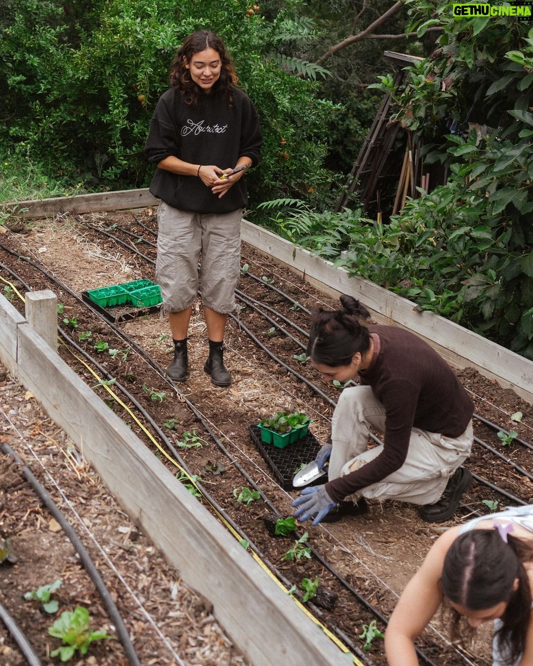Bob Marley Instagram - Scenes from last week’s #SummerOfMarley gardening workshop with @usal.project🪴 Led by @zznelsonzz and @francis_river, participants gained a fresh look into the wonders of agriculture through creativity & art. From planting to learning about natural fertilizers, soil preparation and watering techniques, we tapped into Bob’s deep spiritual connection with nature, while exploring the ins and outs of maintaining healthy gardens and lifestyles. The workshop closed with a forage through the garden where attendees created their own bouquet 💐 #bobmarley #usal #usalprject #gardening #nature #plantlife #planttheseed #plantthefuture