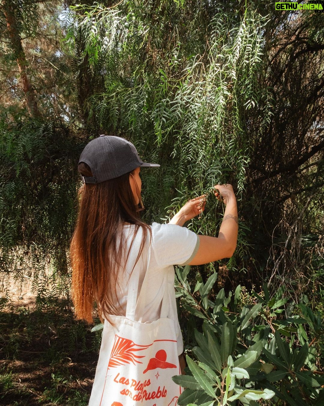 Bob Marley Instagram - We kicked off the #SummerOfMarley @usal.project partnership last week with an incredible experience! Forager, educator and mushroom cultivator @indyofficinalis taught participants how to identify and ethically harvest wild edible plants 🌱🍄 This event series enabled them to learn, gather, and experience the influence of #BobMarley and his music through the lens of the natural world. All ticket donations benefit children’s education and building homes for the un-housed in Jamaica through the family’s foundations. A big thanks to Usal Project and everyone who joined us – stay tuned for more! Los Angeles, California