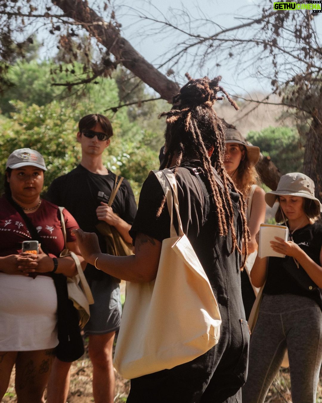 Bob Marley Instagram - We kicked off the #SummerOfMarley @usal.project partnership last week with an incredible experience! Forager, educator and mushroom cultivator @indyofficinalis taught participants how to identify and ethically harvest wild edible plants 🌱🍄 This event series enabled them to learn, gather, and experience the influence of #BobMarley and his music through the lens of the natural world. All ticket donations benefit children’s education and building homes for the un-housed in Jamaica through the family’s foundations. A big thanks to Usal Project and everyone who joined us – stay tuned for more! Los Angeles, California