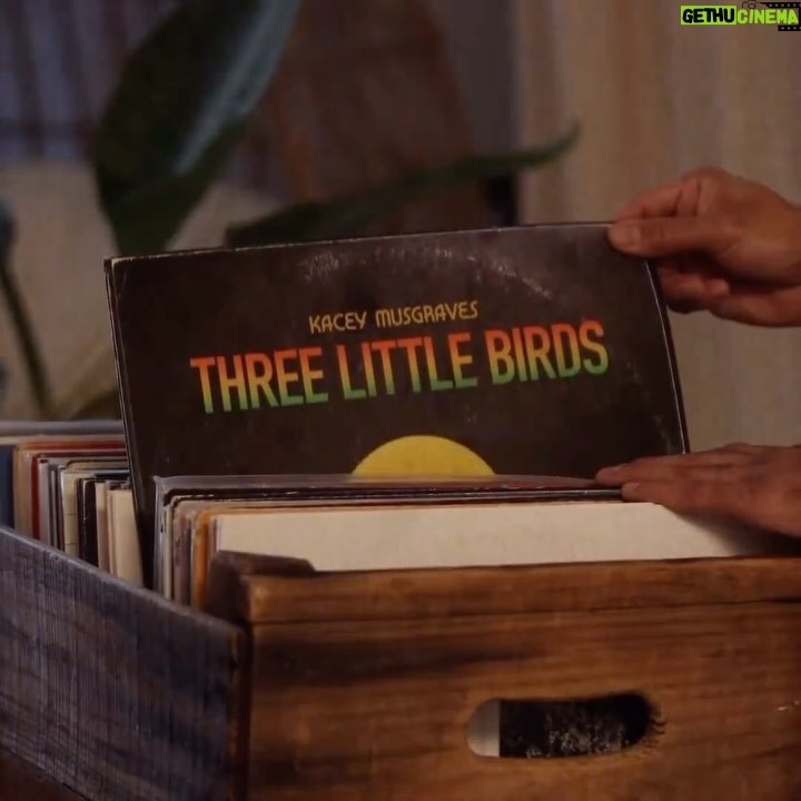 Bob Marley Instagram - đ¶ Rise up this morning, smile with the rising sun. đ¶ Listen to Kacey Musgravesâ cover of âThree Little Birdsâ featured on the âBob Marley: @OneLoveMovie (Music Inspired by the Film)â EPâtrack out now, full album out February 14th. Link in story. #BobMarleyMovie #OneLoveMovie #BobMarley EP featuring + more 1. @bloody__civ â âNatural Mysticâ 2. @skipmarley â âExodusâ 3. @danielcaesar â âWaiting in Vainâ 4. @spaceykacey â âThree Little Birdsâ 5. @wizkidayo â âOne Loveâ 6. @jessiereyez â âIs This Loveâ 7. @leonbridgesofficial â âRedemption Songâ
