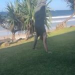 Bobby Holland Hanton Instagram – That sea air just hits different! 🙌🏻 #handstand #training