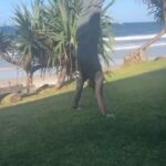 Bobby Holland Hanton Instagram - That sea air just hits different! 🙌🏻 #handstand #training