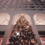 Bondy Chiu Instagram - 🎄 #Festivevibes