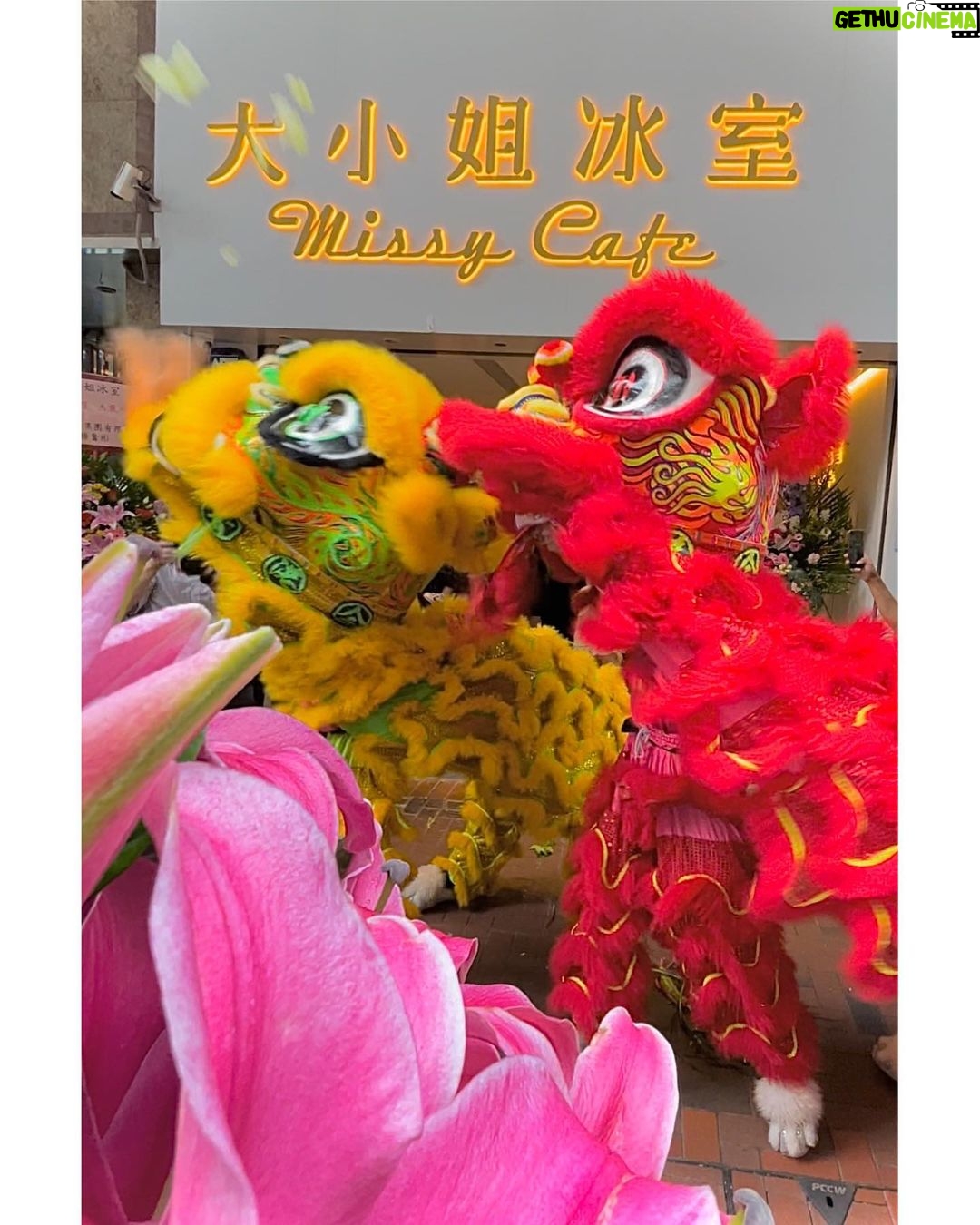 Bondy Chiu Instagram - Congratulations 🎉 @missycafehk - 楊小姐你真心叻叻 我同蘇生全力支持妳 繼續大展鴻圖 佢幫手設計 我幫你手食 🤭 大小姐冰室 Missy Cafe