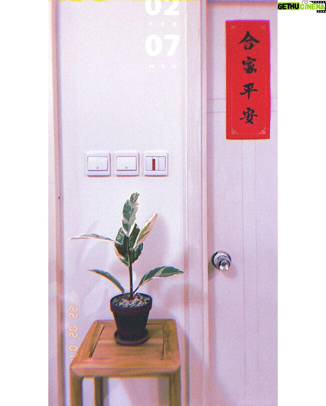 Bonnie Chiu Hok-Yee - 338 Likes - 🌱
記得飲水
健康成長
強大茁壯
❣️
人日快樂
🧧