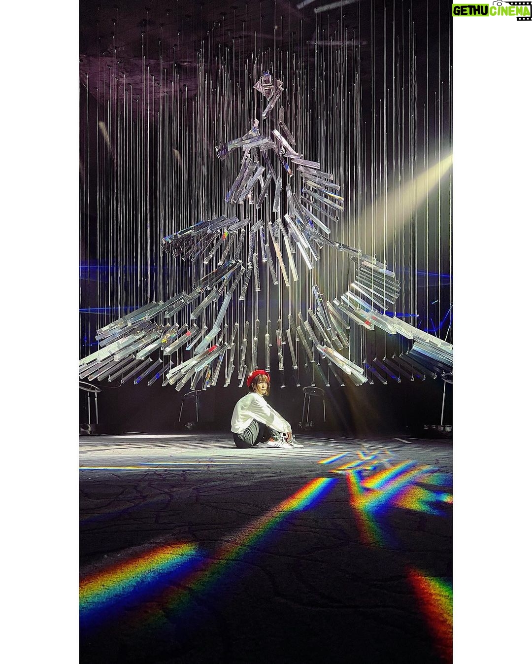 Bonnie Chiu Hok-Yee - 455 Likes - 又扮長腿!
🎄
今個聖誕除咗有嗰啲一如以往嘅乜乜燈飾
仲有呢個選擇
雖然少少遠 但係打啲咭勁靚✨
Thank you @honhim @krazyddd for the private tour 🤍
📸by @mattylystudio
@winterwonderlandhk #WinterWonderland #WinterWonderlandHK
@xcept_hk
#XCEPT #HouseOfLight #HouseOfLightByXCEPT