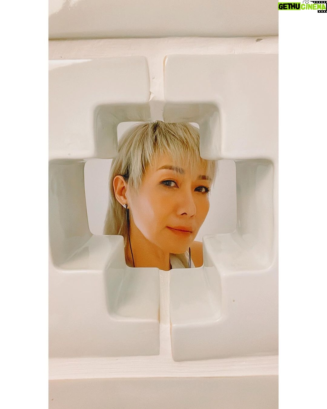 Bonnie Chiu Hok-Yee - 3 Likes - 📷
好似好耐冇認真咁俾人影過……
.
.
.
.
.
幾時影番輯好呢🤭
#自拍是這樣煉成的