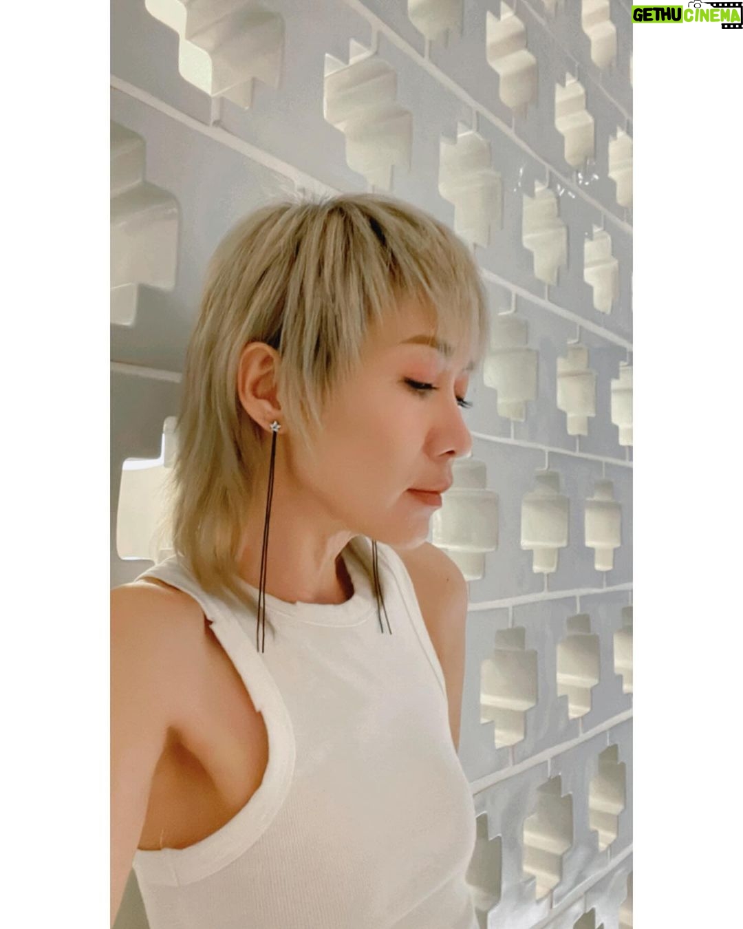 Bonnie Chiu Hok-Yee - 3 Likes - 📷
好似好耐冇認真咁俾人影過……
.
.
.
.
.
幾時影番輯好呢🤭
#自拍是這樣煉成的