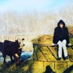 Bonnie McFarlane Instagram - Find someone who looks at you the way my cow looked at me. Fuck she had pretty eyes tho