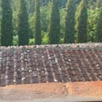 Bonnie Somerville Instagram - 3 Days in Tuscany with my Best Friend. Heaven.❤️🇮🇪 Lucca,Toscana