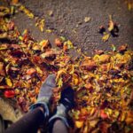 Bonnie Somerville Instagram – Home 11/1/23 🍁🍂🍁 New York, New York