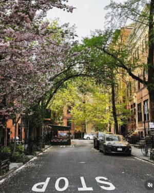 Bonnie Somerville Instagram - I love New York in spring - how bout you? #nyc #spring