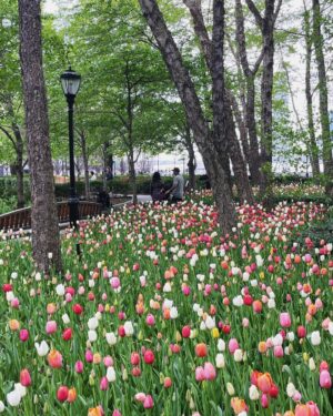 Bonnie Somerville Instagram - I love New York in spring - how bout you? #nyc #spring
