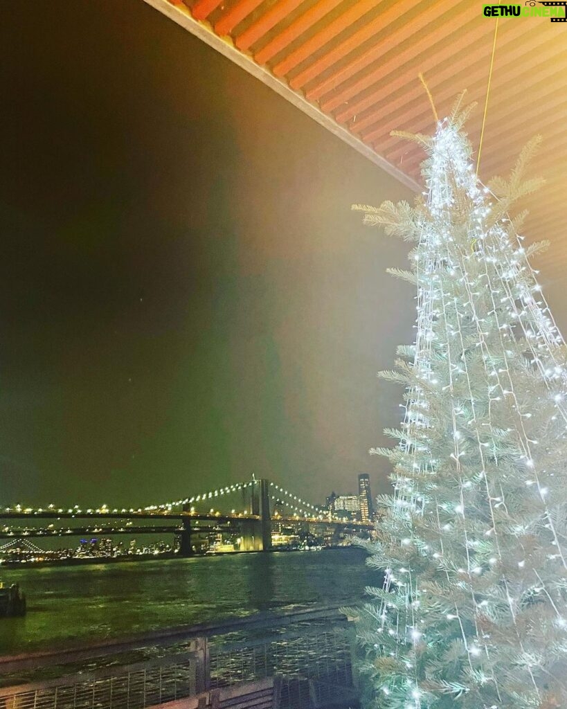 Bonnie Somerville Instagram - Last days of 2022…I love my hometown- here’s to an amazing 2023 everyone. Let’s focus on love. Wishing you all health, wealth, & happiness. But most of all- Love. 🎄✨❤️ New York, New York