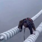Boogie Instagram - How much $$$ would it take for you to do this job?