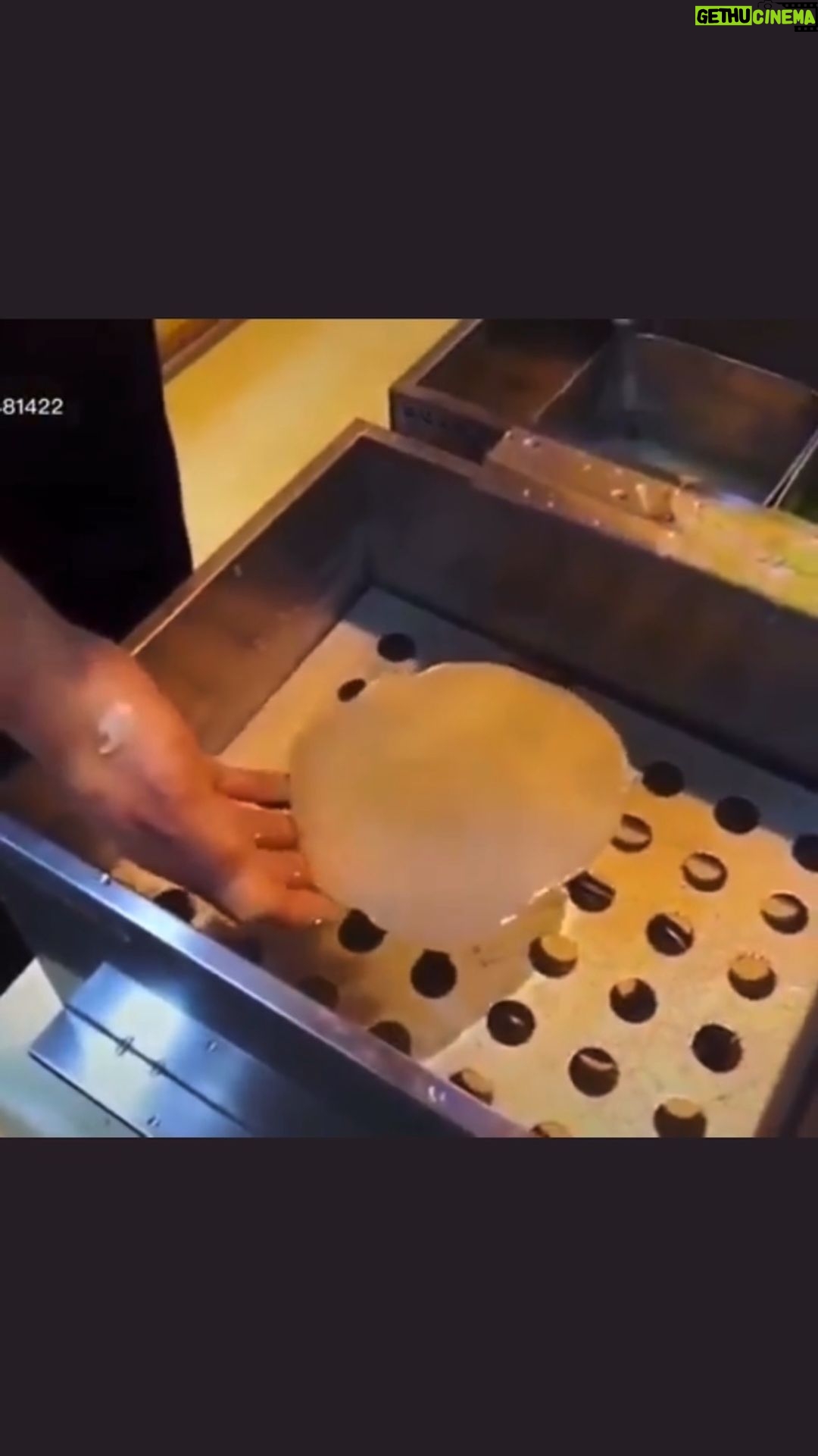 BooG!e - 669 Likes - Restaurant display lettuce made from wax!