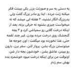 Borzoo Niknejad Instagram -