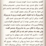 Borzoo Niknejad Instagram -