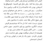 Borzoo Niknejad Instagram -