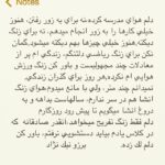 Borzoo Niknejad Instagram -