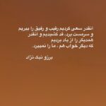 Borzoo Niknejad Instagram -