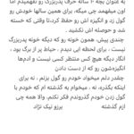 Borzoo Niknejad Instagram -