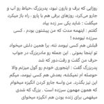 Borzoo Niknejad Instagram -