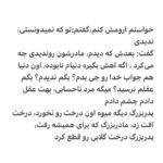 Borzoo Niknejad Instagram -