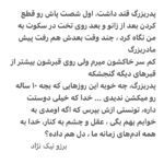 Borzoo Niknejad Instagram -