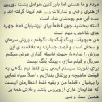Borzoo Niknejad Instagram -