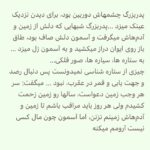 Borzoo Niknejad Instagram -