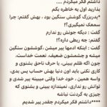 Borzoo Niknejad Instagram -