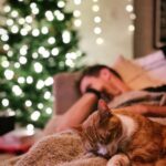 Brad Benedict Instagram - The holidays have arrived, and Leo @thektownkitty_ and I are here for it! Even if we aren’t fully conscious for it. Thanks to our sweet beautiful @ashleywanders_ for finishing the decorating while we snoozed off the last bits of Thanksgiving. . . . #happyholidays #catdad #foodcoma Hollywood, California