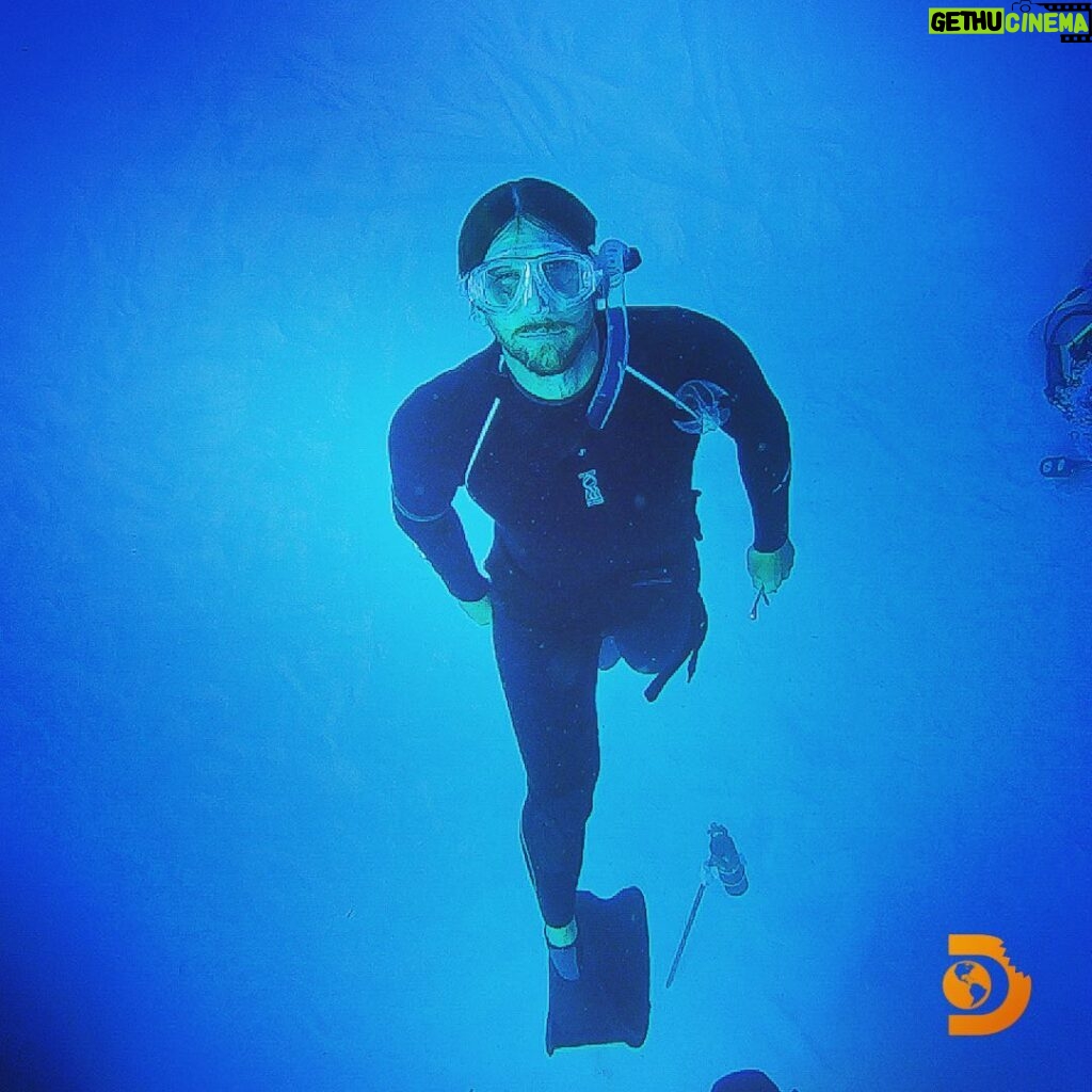 Brad Benedict Instagram - Coming up for a breathe. No sudden erratic movements. Be smooth. Stay calm and keep your heart rate steady. Scan the surrounding water and constantly check your six. Keep eye contact with any sharks that may be circling. Become one with the deep blue. . . SHARK ACADEMY is now streaming for @sharkweek on @discoveryplus. Link in bio. 🦈 . . #sharkweek #sharkweek2021 #freedive #thebahamas #sharkacademy #discovery The Bahamas