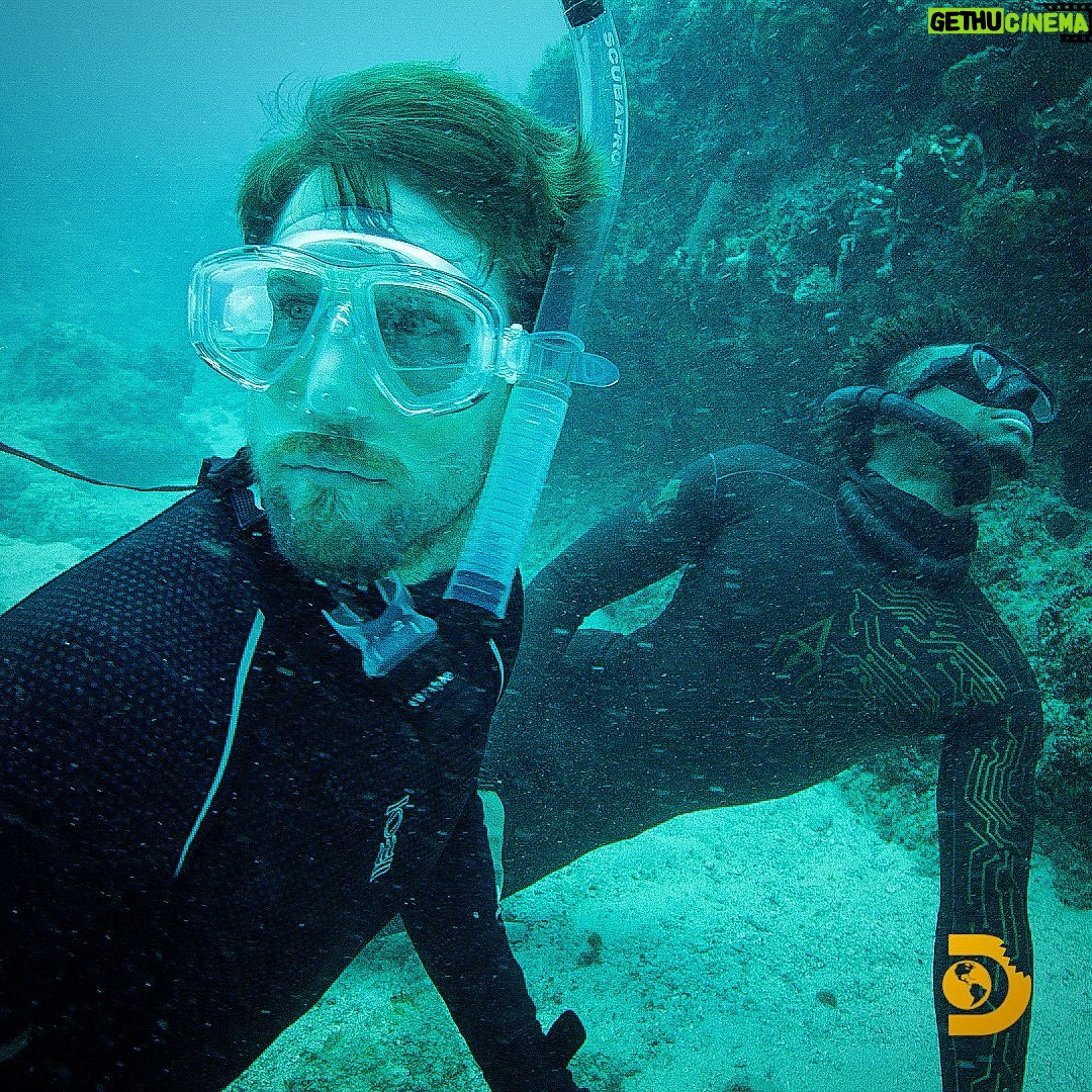 Brad Benedict Instagram - 🦈 Shark Week has kicked off! Catch me and my fellow #SharkAcademy recruits getting a crash course in the 🌎 of 🦈 while living on a ⛴ in the Bahamas for six weeks...an understatement to say that it wasn’t easy, but I can’t imagine anything more rewarding. . . Thanks to @thelifeofrileynz and his awesome team, @andremusgrove @kokocuvier and @mattsmukall, for all their knowledge and leadership. The first 3 episodes of 6 are live on @discoveryplus! 🦈 Comment with a “🦈” if you are loving the series so far. . . This a shot while working on free diving skills with expert @andremusgrove. Free diving was a major challenge for me, but it got just a tiny bit easier each dive. I feel like I constantly had a mask half filled with water. Facial hair doesn’t help with a secure mask. Lessons learned! #SharkWeek #SharkWeek2021 #discovery #discoverychannel #discoveryplus #freediving #freedive #sharks #theovalonbet Bimini, The Bahamas