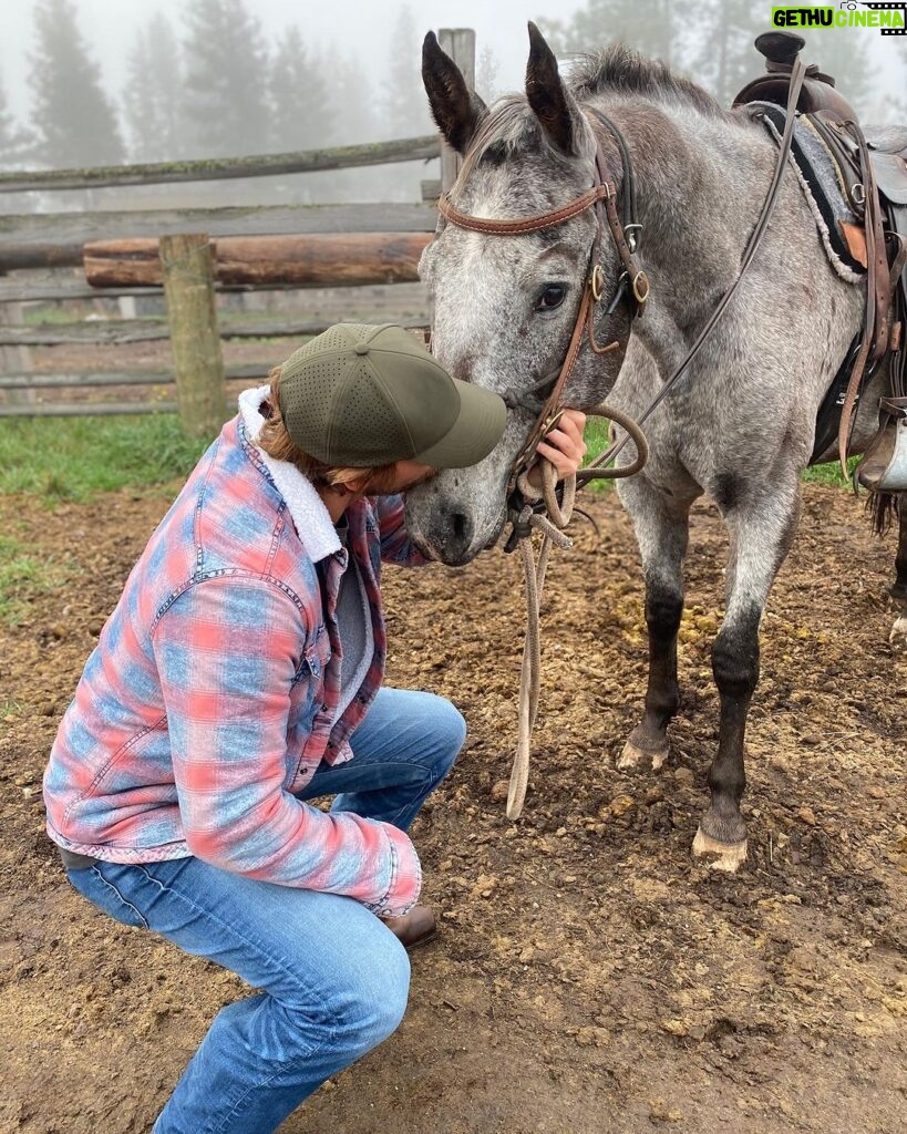 Brad Benedict Instagram - Meet Sardine, he’s a keeper. #horsefriend #ranchlife #montana E BAR L Ranch