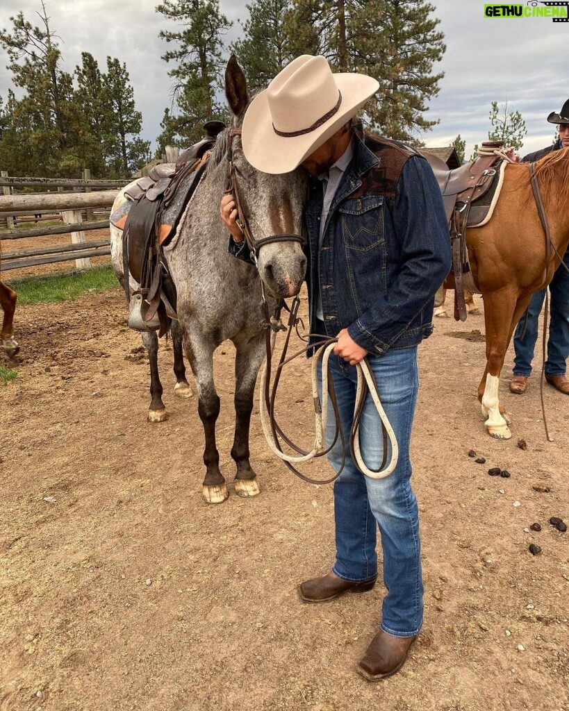 Brad Benedict Instagram - Meet Sardine, he’s a keeper. #horsefriend #ranchlife #montana E BAR L Ranch