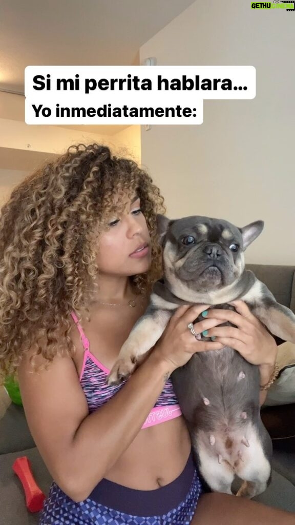 Brashell Santos Instagram - Dios sabe porqué no hablan nuestros caninos 🤭