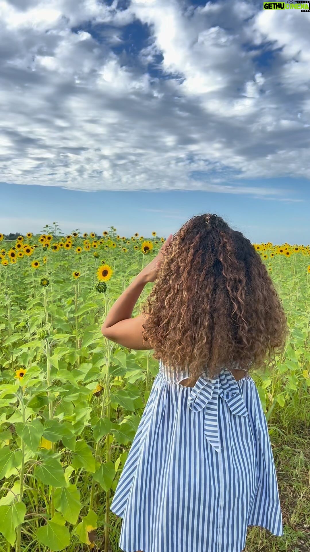 Brashell Santos - 1.3K Likes - Regularmente no soy de publicar mi vida privada en redes sociales pero creo que en esta ocasión si vale la pena compartirles mi felicidad 🥰
Desde que me enteré de esta noticia no he hecho más que agradecerle a Dios por la bendición de por fin cumplir esta meta en el checklist y darme el privilegio de aunque me asuste un poco (siendo honesta 😂) llamarme madre. Es un momento muy deseado, soñado y esperado por nosotros 👫🏽
Lo mejor está por venir. Papi y mami te esperan con amor mi bebe 💜🥹 4.2