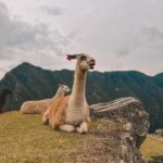 Brenda Zambrano Instagram - MACHU PICCHU ⛰⚡️🫴🏻 Machu Piccho, Cusco, Peru