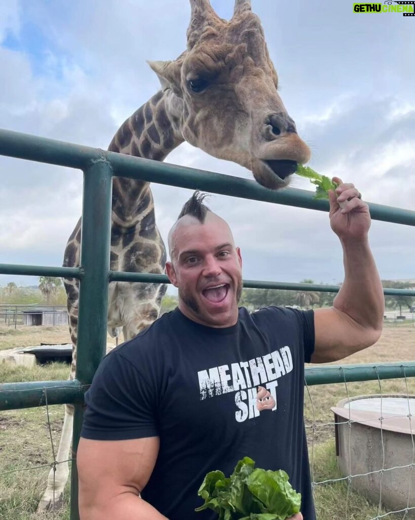 Brian Button Instagram - Your 2023 was cool? Well I don't know, was it "vanilla gorilla" super happy feeding a giraffe lettuce without looking, cool? That shirt goes so well too, some pretty epic meathead shit right there.