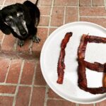 Brian K. Vaughan Instagram - Is bacon the key to eternal life? Happy Birthday, Hamburger K. Vaughan!