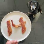 Brian K. Vaughan Instagram – Happy Birthday, Hamburger K. Vaughan! He’s been with us for three homes, four U.S. presidents, and 54 carefully curated letters pages of Saga. To Be Continued… #goodnewscoming #thanksforyourimpatience #smellyolddachshund