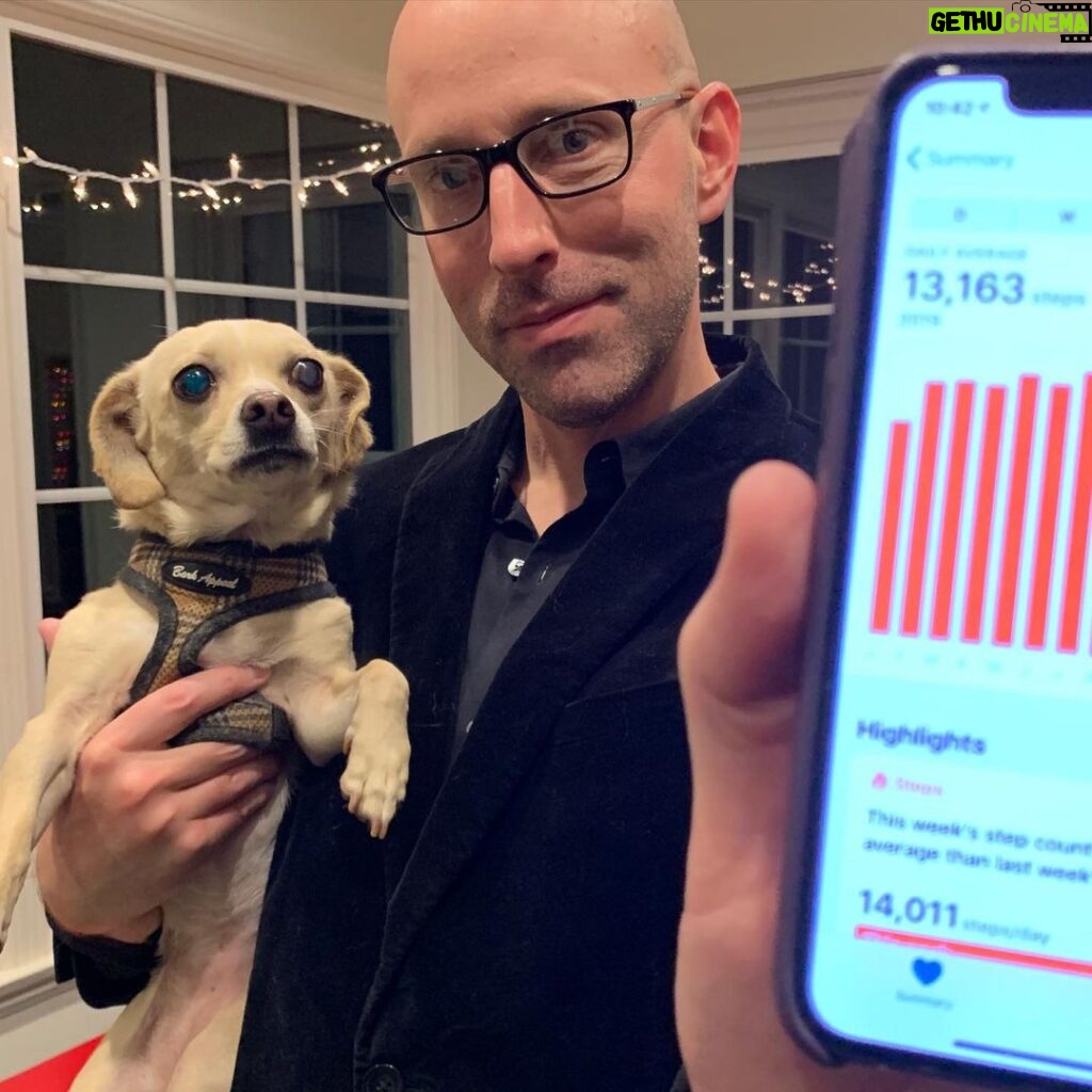 Brian K. Vaughan Instagram - My proudest achievement as a creator/father/human being. This tiny, anxious, plastic bag-fearing mutt and I walked a daily average of 13,163 steps together in 2019 (though her smelly paws probably did, what, double that?). Will any of you sedentary ‘gram-scrollers best us in 2020? No. No, you will not. Regardless, Milkshake and I wish you a healthy and productive new year. #cuttingapromo #dontsteptous #unlessyouareabag