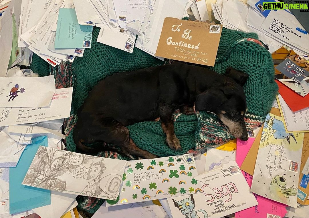 Brian K. Vaughan Instagram - Today at Exploding Giraffe, we reveal how my hard-working correspondence dog Hamburger K. Vaughan selected the responses to the 2022 Reader Survey for next week’s new issue of SAGA. Link in bio to win some bonus junk from the Almighty Prize Drawer! 💥🦒 #saga #imagecomics #dachshund