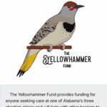 Brian Tyree Henry Instagram - Taking a page from @jaboukie and sharing where you can give the best support. #donate yellowhammerfund.org