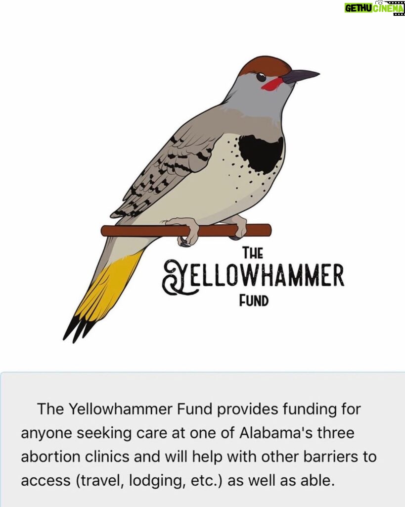 Brian Tyree Henry Instagram - Taking a page from @jaboukie and sharing where you can give the best support. #donate yellowhammerfund.org
