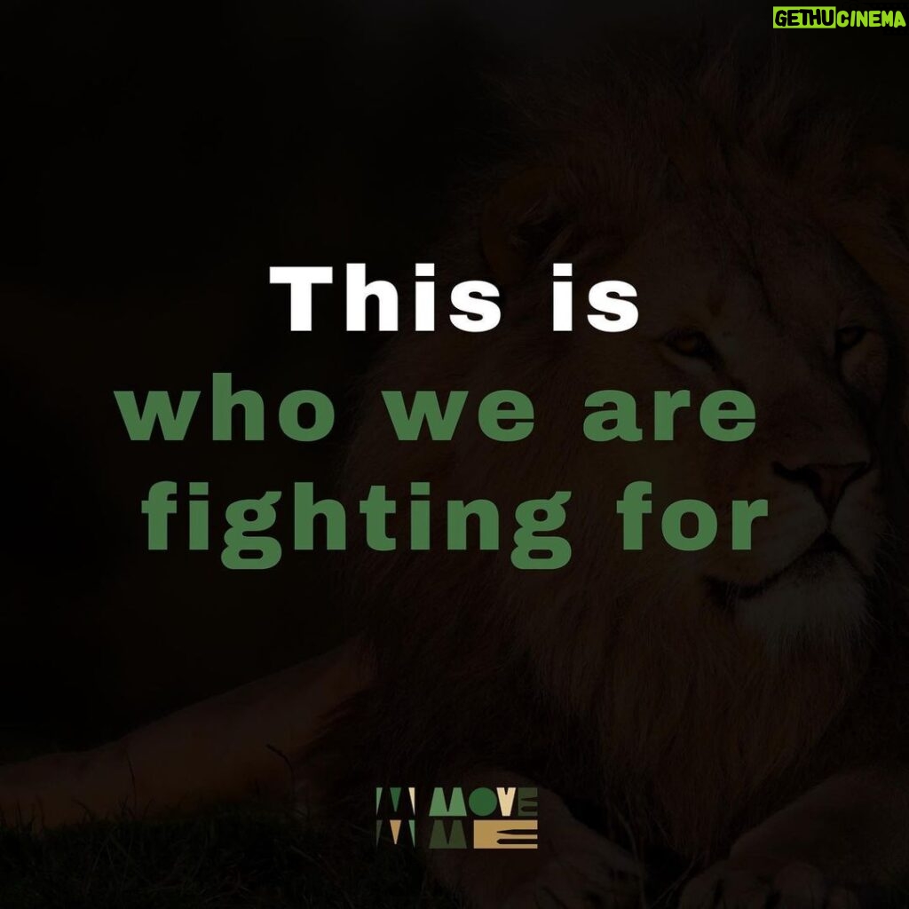 Briana Evigan Instagram - This is who we are fighting for. Each animal has value to the earth that just cannot be measured. Their life matters to us, and is something we are fighting for. The abundance of the biodiversity of Africa is hurtling towards crisis. We need to change direction fast, like the leopard on the plains. If you can hear the voices of the world, join our MoveMe. Together, we can put love into motion. #MoveMeStudio #MoveMe