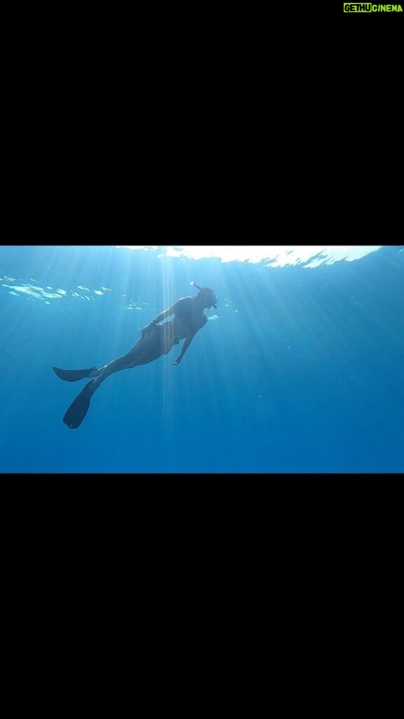 Briana Evigan Instagram - A little magical birthday yesterday thank you Damien for getting me back in the water! We went free diving and have had ptsd over an ear issue I had years ago! It felt so good to be back in the underworld. The ocean, one of the most important parts of our planet. It was refreshing and gave me hope to see life underwater again. With everything going on in the world right now, all of its heaviness, torture, and disconnect. It was a moment of deep connection to the planet, silence, mediation and therapy watching the turtles and fish live their lives the way they do. Complete peace, other than when we found a Nemo fish and it’s baby looking terrified to come out of a plant it was hiding in. 🤣very grateful for this trip and all the humans we’ve been with for the last month. It’s been a difficult come down actually and personally confronting in all the most beautiful ways. Feelin lucky and blessed to be alive and surrounded by so much unconditional love and human connection. May the overwhelm, adventure, spontaneity, family time, and abundance continue on our beautiful honeymoon! ♥️
