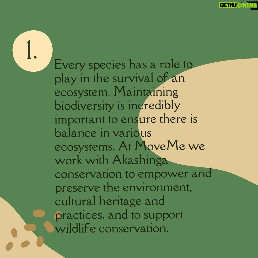 Briana Evigan Instagram - Our top 3 reasons on why we believe animal conservation is important. Why do you think animal conservation is important? Let us know in the comments below! π . #MoveMe #africa #southafrica #empowerment #communityfirst #humanity